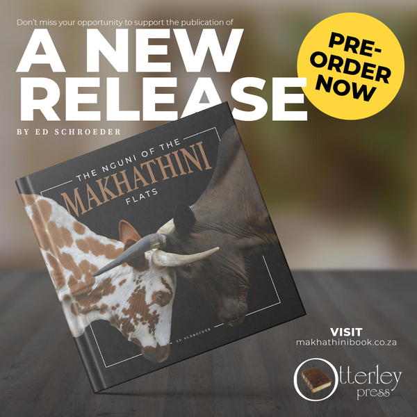 The Nguni of the Makhathini Flats - pre order