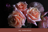 2023 Otterly Rose calendar
