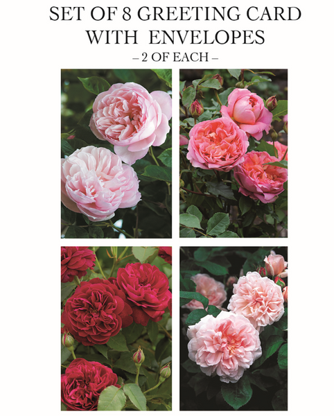 Otterley 2023 Rose Cards