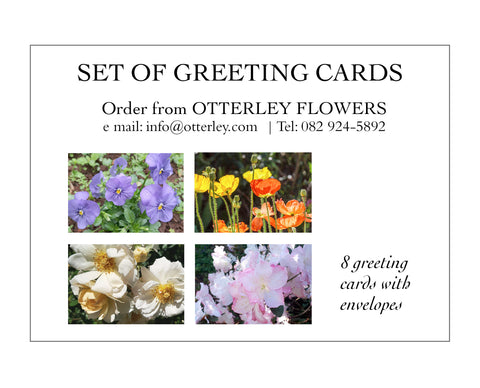 Otterley 2022 Rose Cards